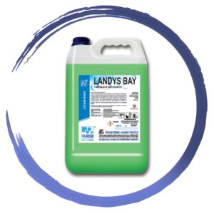 LANDYS BAY | LIMPIADOR DE SUPERFICIES EN GENERAL