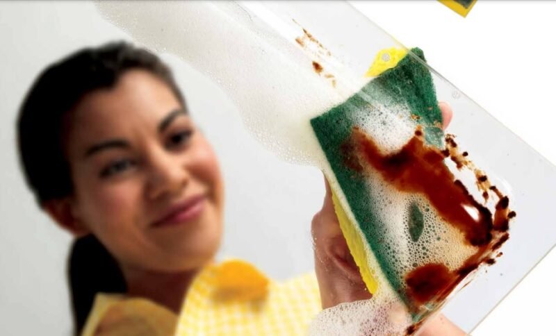 FIBRA DUAL P94 SCOTCH BRITE 12 PZS