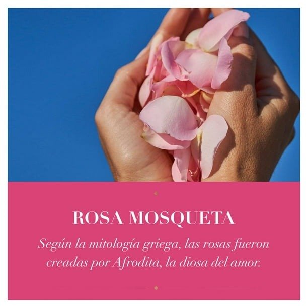 ACONDICIONADOR HERBAL ESSENCES 865 ML