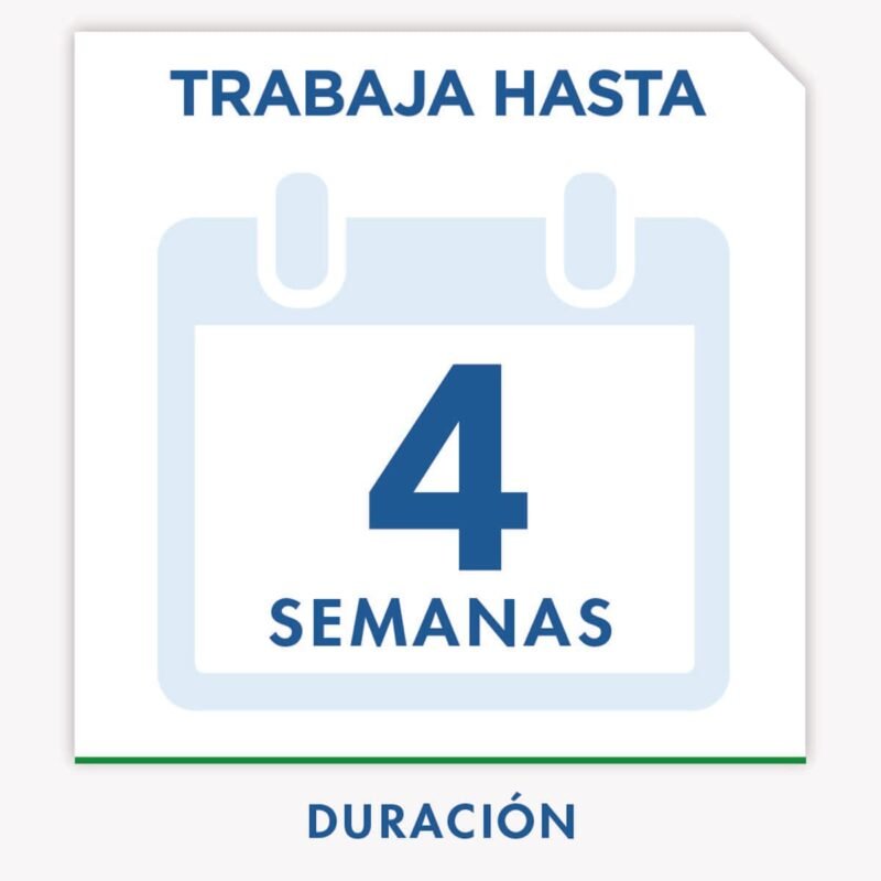 INSECTICIDA AER CASA JARDIN RAID 400 ML